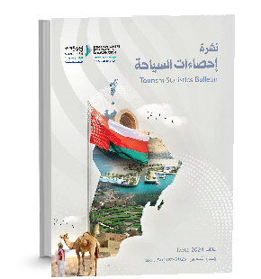 Tourism Statistics Bulletin 2025
